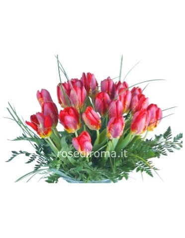 Bouquet Con 18 Tulipani Rosa
