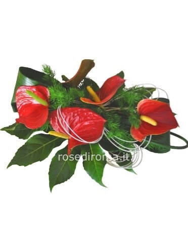 Centrotavola Con Anthurium Rossi.