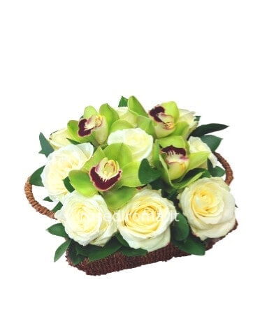 Cestino Di Rose Bianche Ed Orchidee Verdi