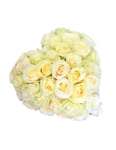 Cuore Di 24 Rose Bianche