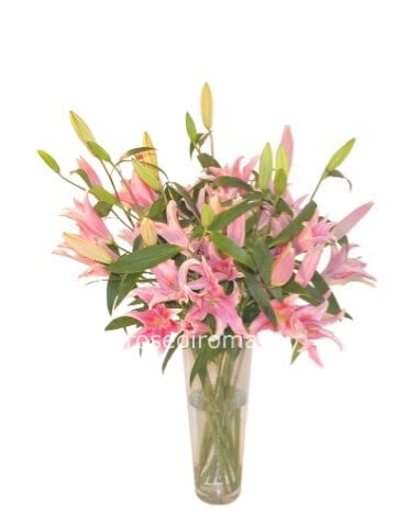 Mazzo Mazzo Con Lilium Rosa