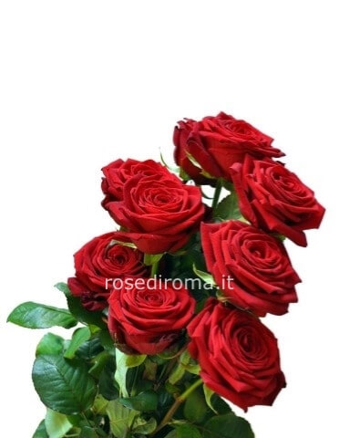 Rose Rosse Stelo Da 60 Cm