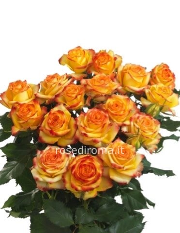 Rose Arancio 50 Cm Da Comporre A Mazzo. Numero Di Steli A Scelta.