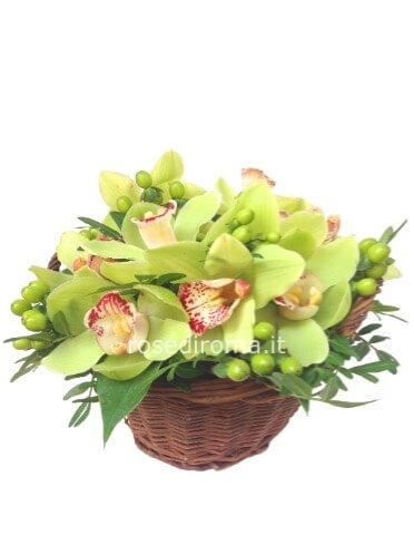 Cestino Con Fiori Di Orchidea Cymbidium.