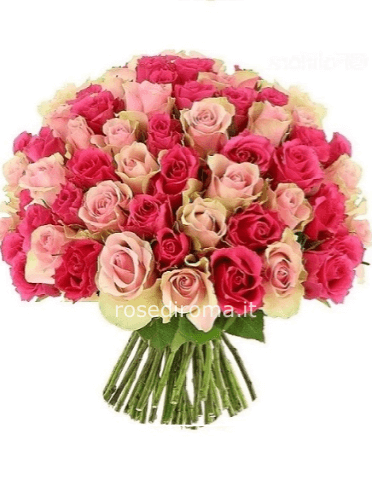 Bouquet con 100 roselline colori rosa tea e fucsia con steli 40 cm